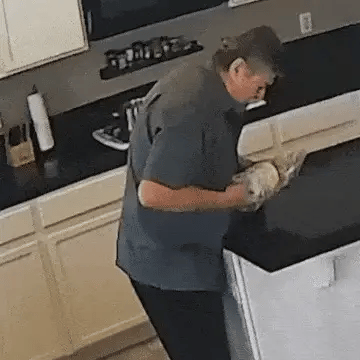 VitalGuard™ — 100-Day Money Back Guarantee